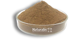 側(cè)柏葉提取物